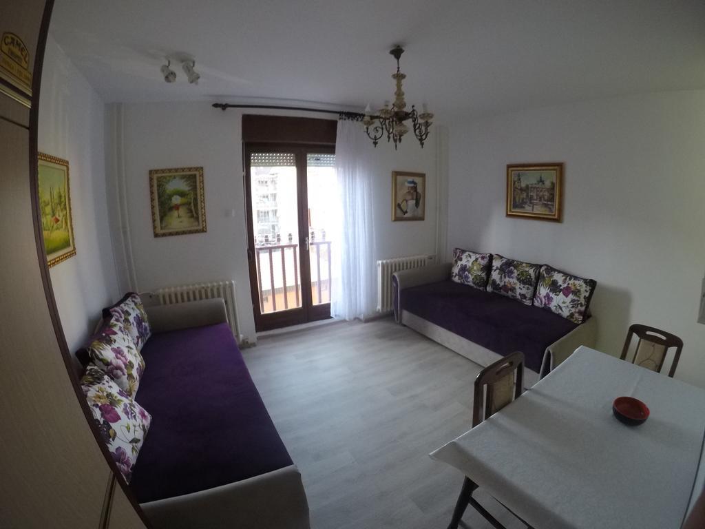 Violet Star Apartment Nowy Sad Zewnętrze zdjęcie