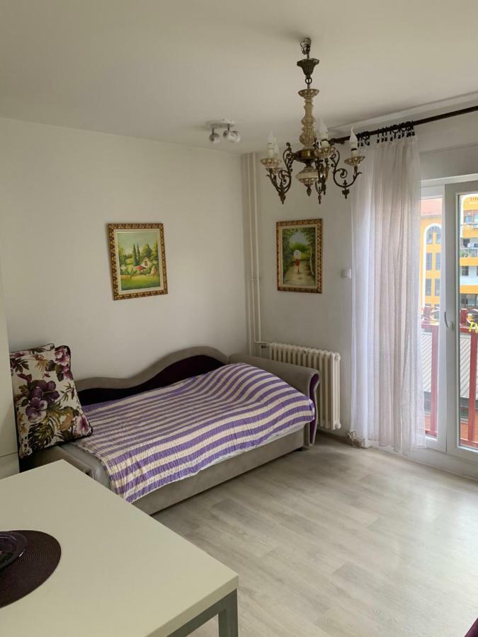 Violet Star Apartment Nowy Sad Zewnętrze zdjęcie